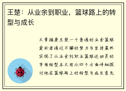 王楚：从业余到职业，篮球路上的转型与成长