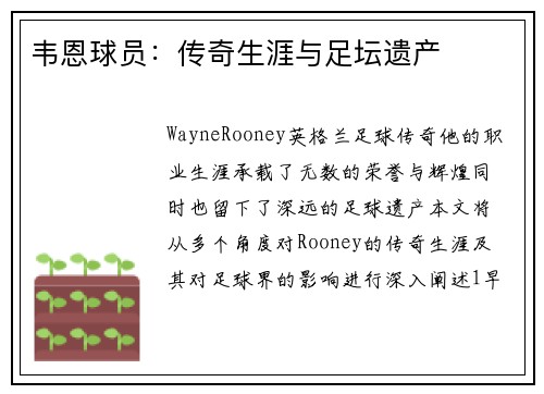 韦恩球员：传奇生涯与足坛遗产