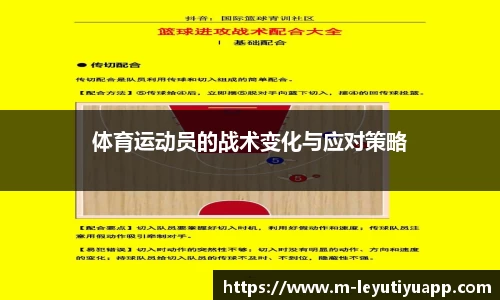 乐鱼体育app
