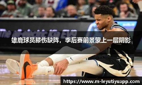乐鱼体育官网